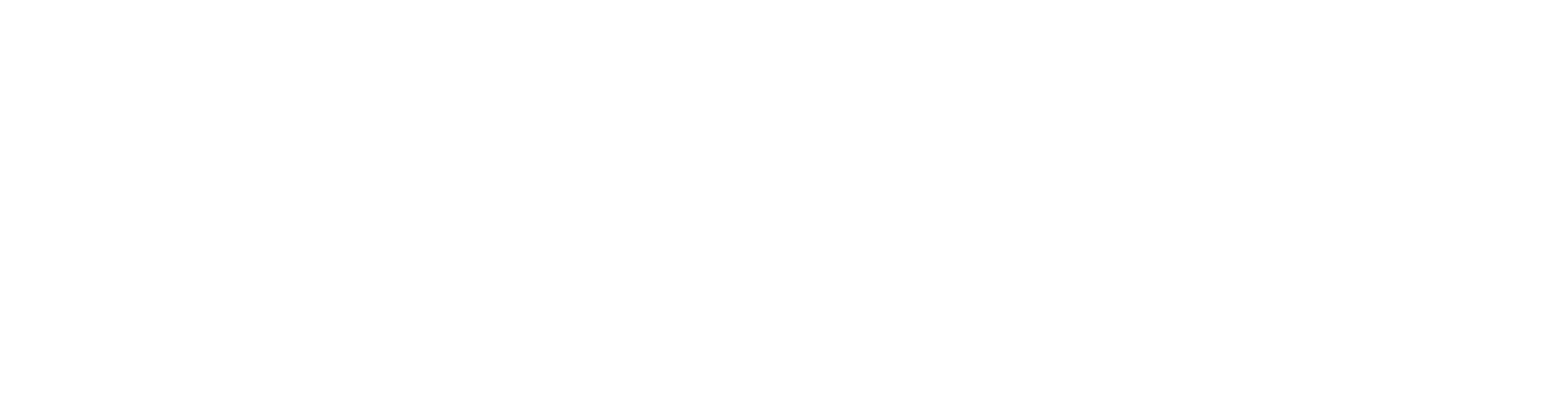 TM_Logo_Wei├ƒ