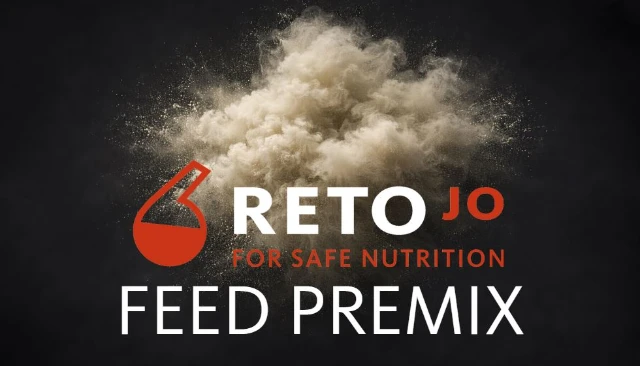 Retojo
